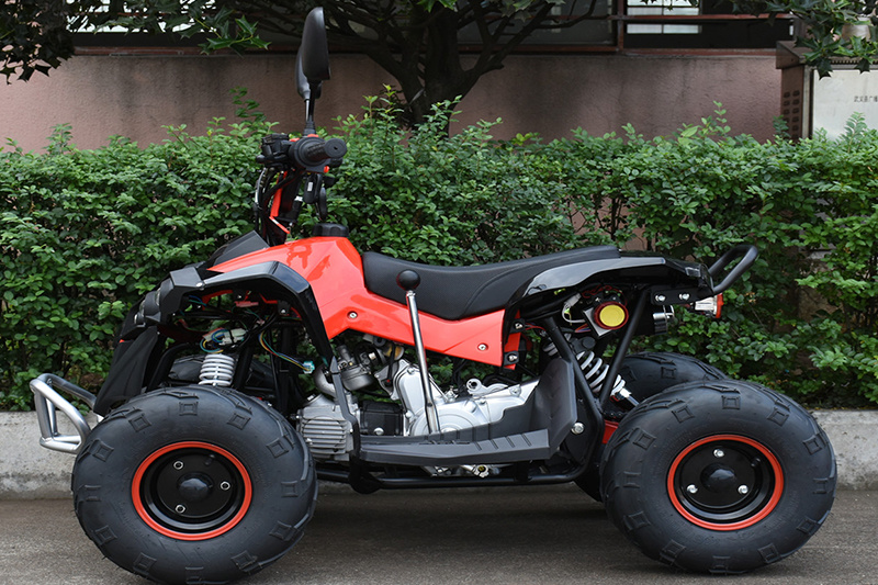 110CC Little bully