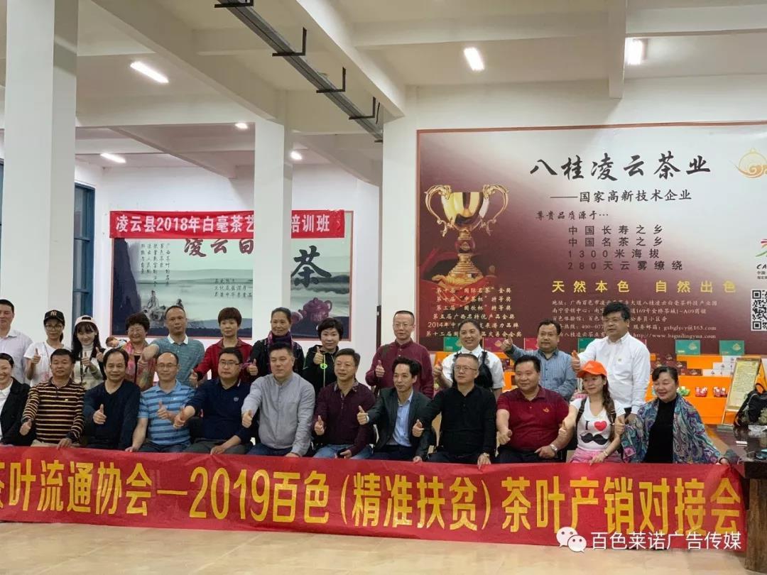 八桂凌云白毫茶