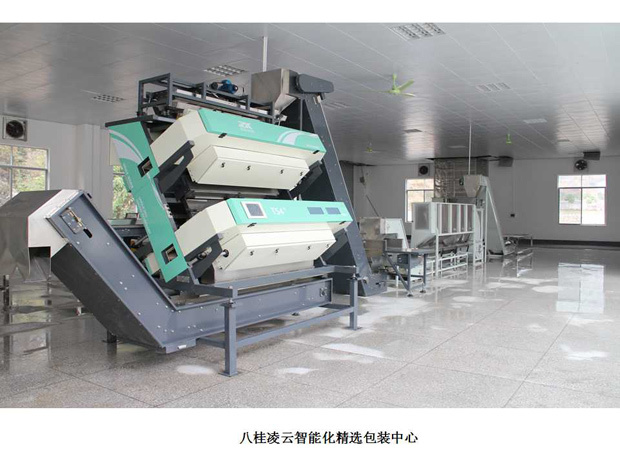 自动化加工