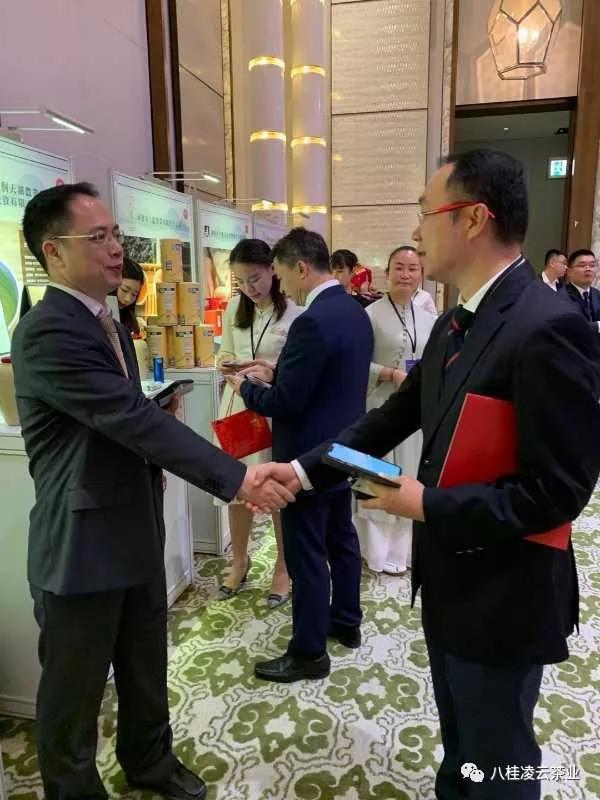 八桂凌云白毫茶成功对接粤港澳大湾区--出彩香港