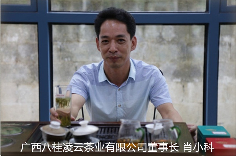 八桂凌云白毫茶