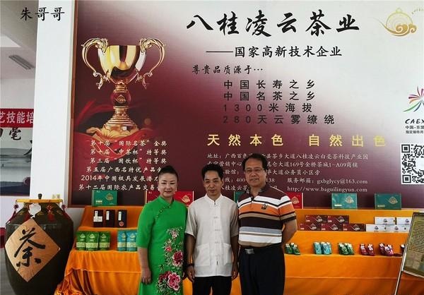 八桂凌云白毫茶