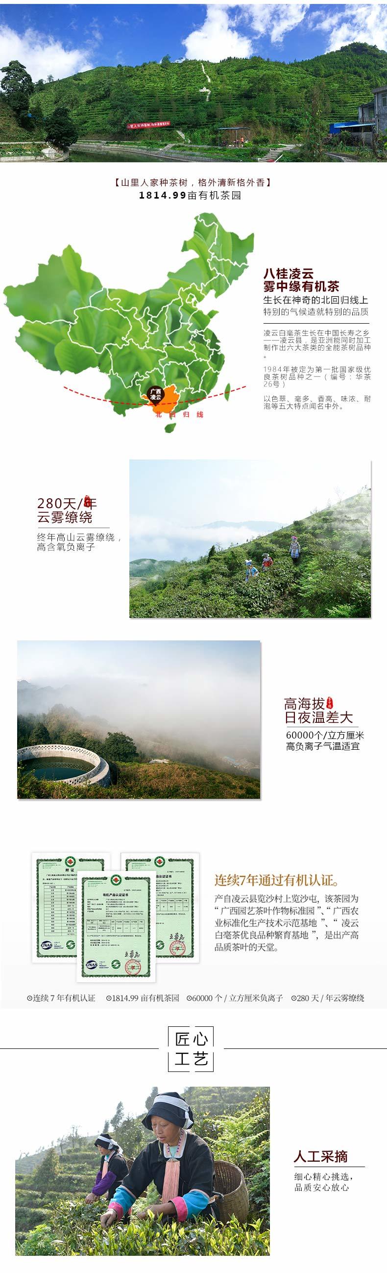 八桂凌云