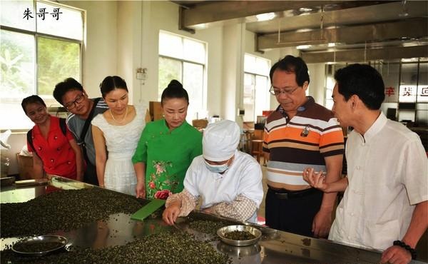 八桂凌云白毫茶