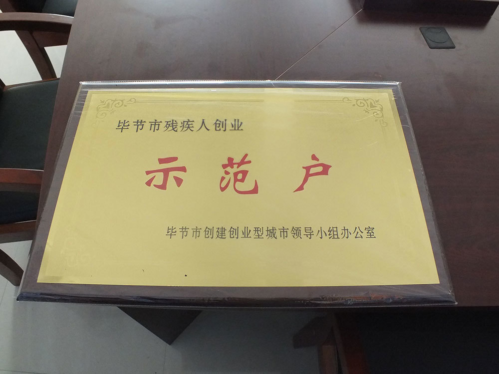 殘疾人創業就業示范點2016