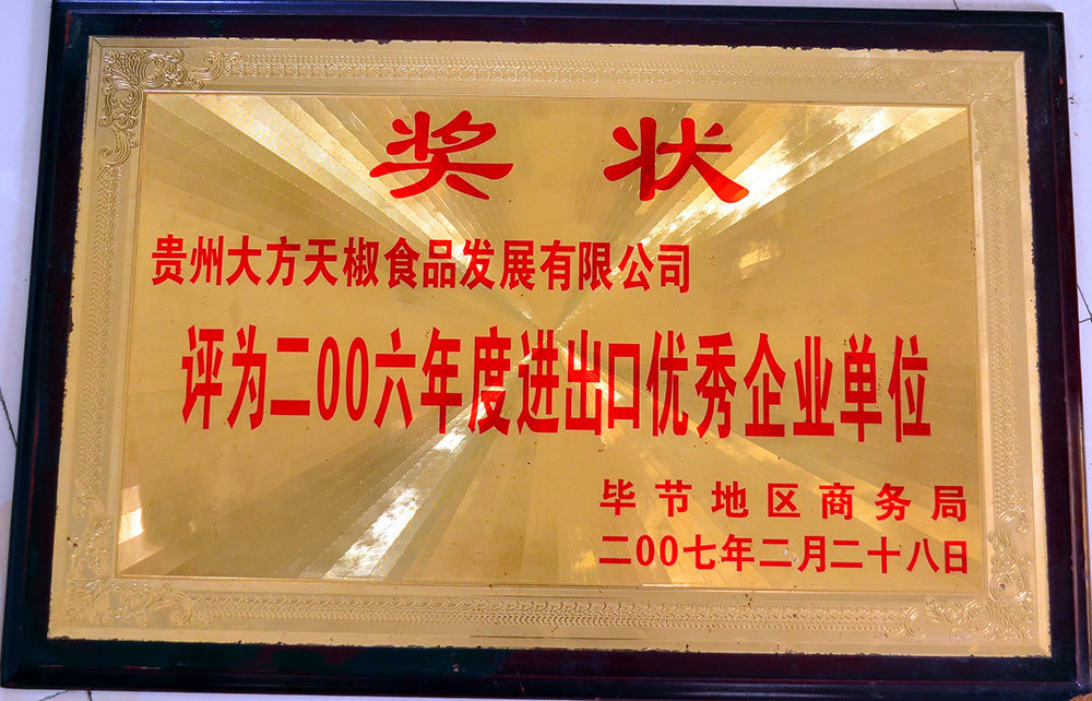 進出口優秀企業2007