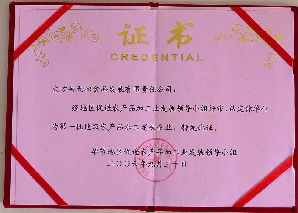 龍頭企業證2006