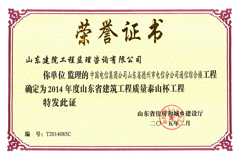 2014年省泰山杯德州電信