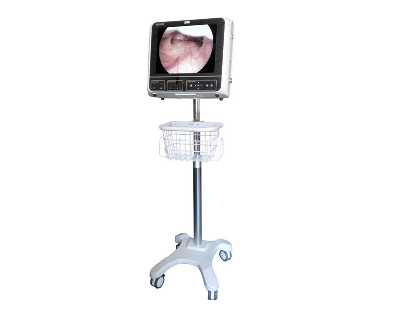 F168DPL 3 in 1 portable endoscopy imaging system