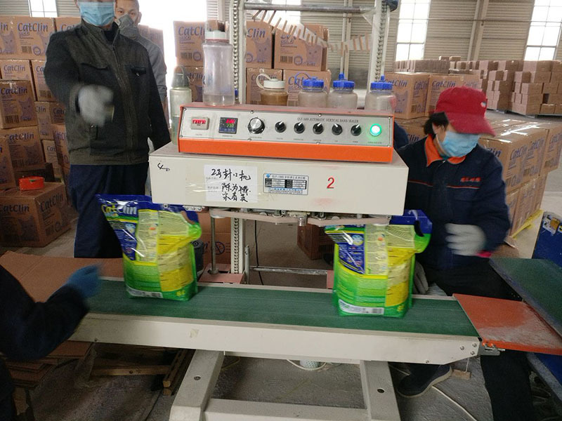 Packing seals