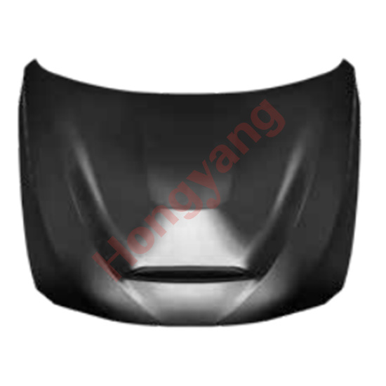 G20/28-(2019-2022) Upgrade To GTS-(2019-2022) Hood