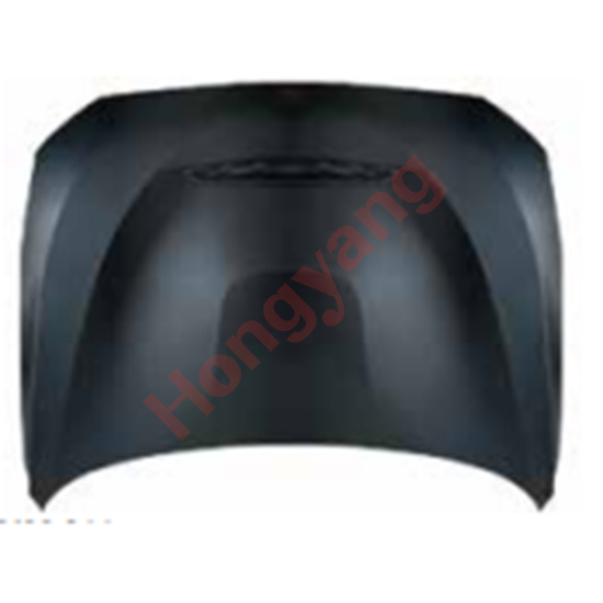 F22-(2014-2019) Upgrade To GTS-(2014-2019) Hood（A.Gloss black/B.Water Transfer Printing）