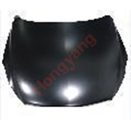 Hood Panel