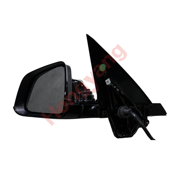 Mirror Assembly L