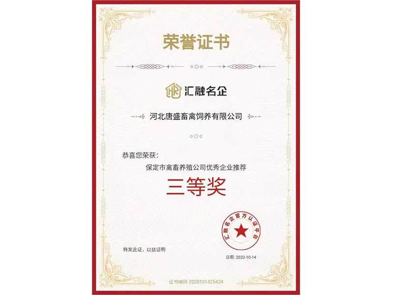 匯融名企三等獎