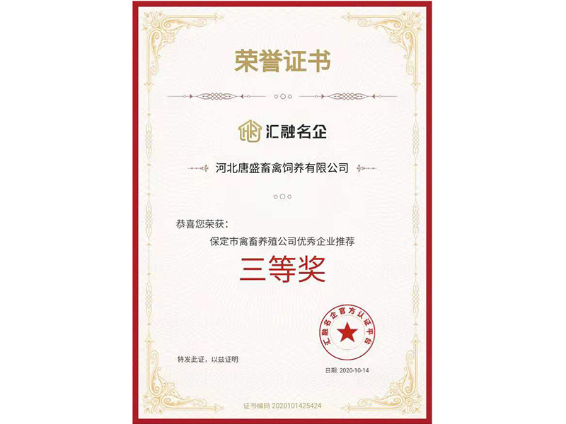匯融名企三等獎