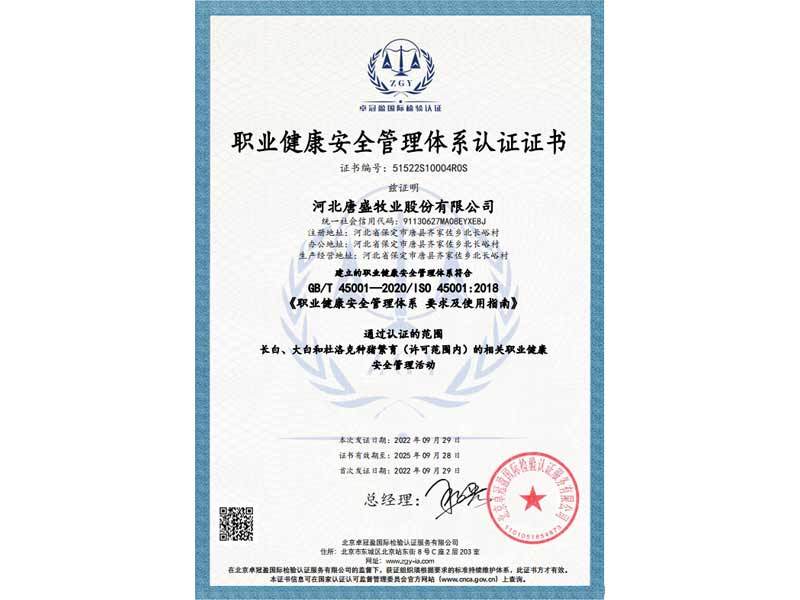 職業(yè)健康安全管理體系認證證書