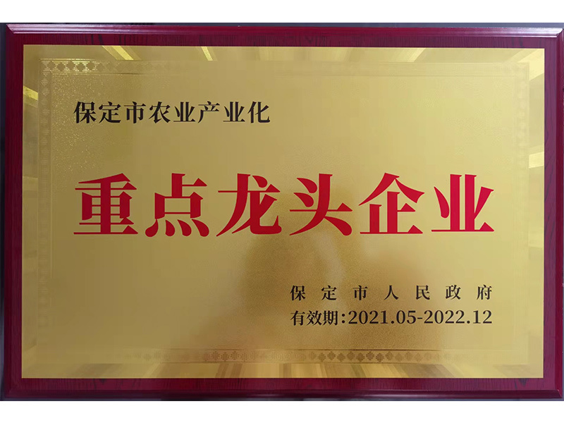 2022市龍頭企業(yè)