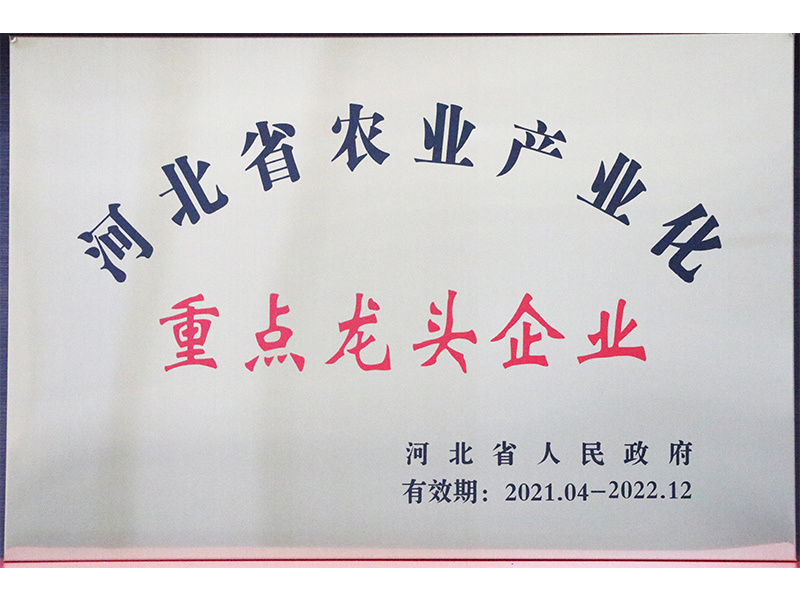 河北省重點龍頭企業(yè)