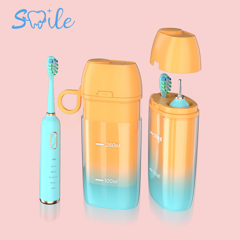 Dormant Compartment Electric Toothbrush