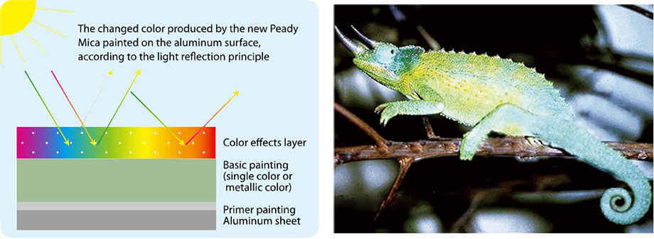 Chameleon Coating ACP