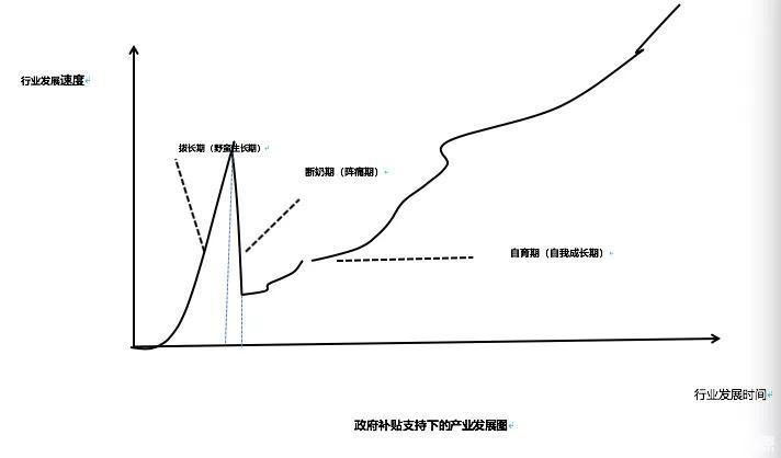 范泛談:補(bǔ)貼潮退后新能源汽車產(chǎn)業(yè)的發(fā)展之路