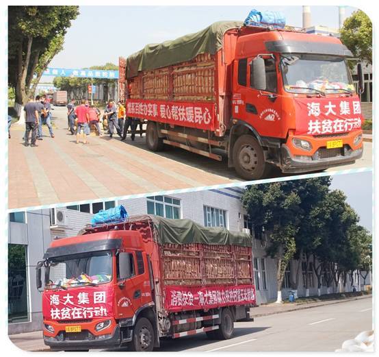 “硬核”带货  消费扶贫助力村民增收