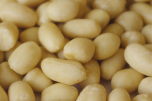 Milky peanut kernels
