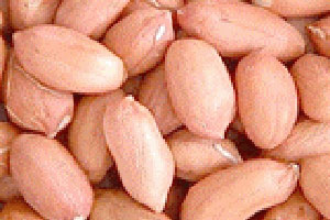 Long peanut kernels