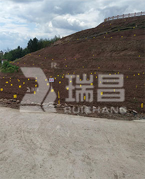 达州客户药材基地