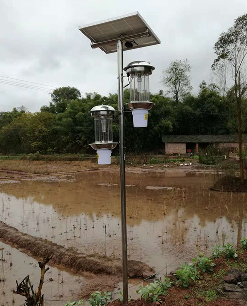 邛崃客户蔬菜基地