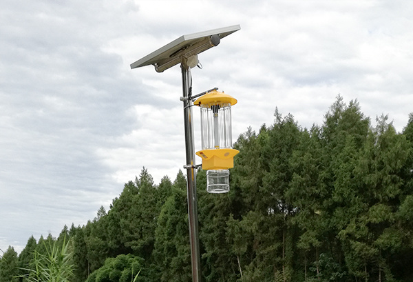 Vertical pole single light insecticide lampRC-NX-LP312S