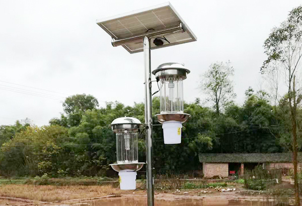 Vertical pole type solar energy kill insect lamp double lampRC-NX-LP311D 
