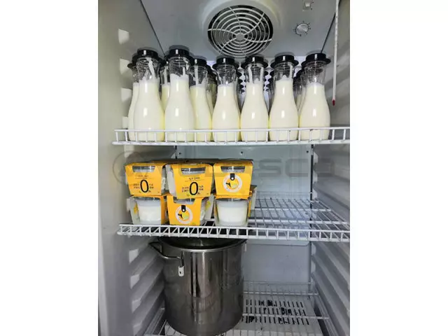 酸奶機(jī) 酸奶機(jī)