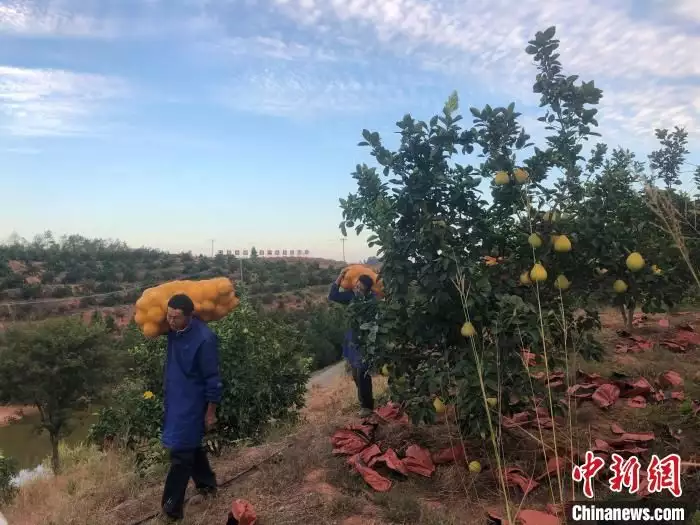 江西恒康药业有限公司