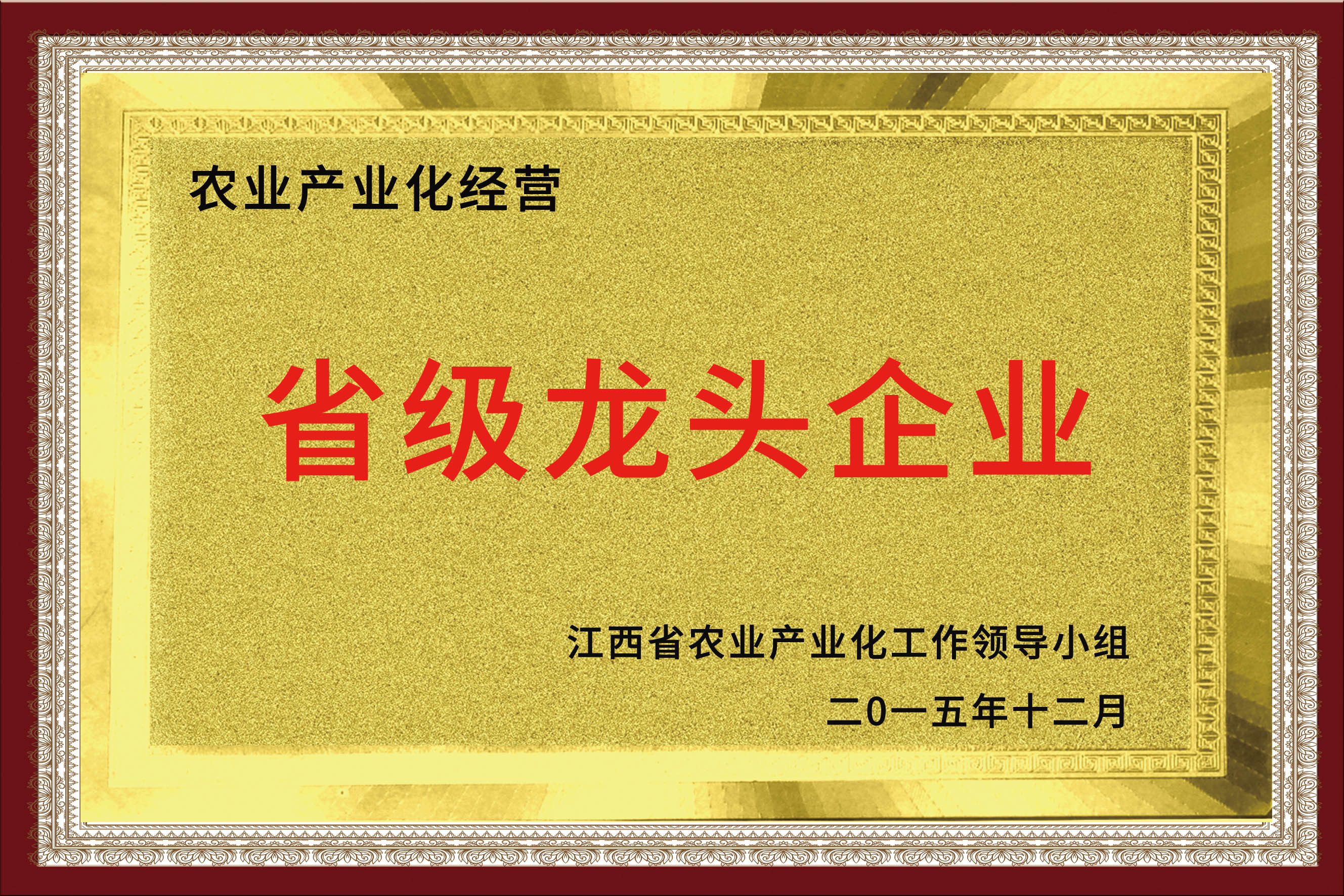 江西恒康药业有限公司