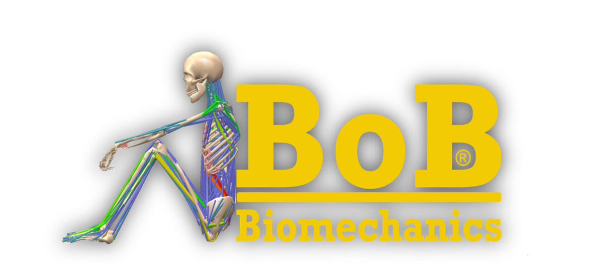 BOB生物力学分析软件