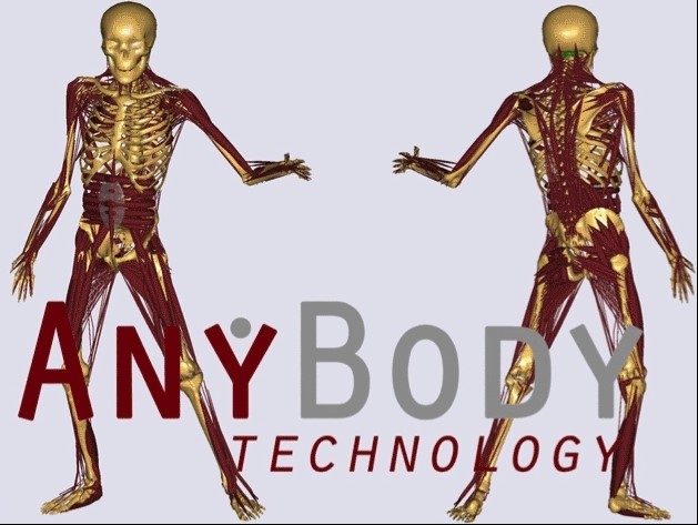 AnyBody生物力学分析软件