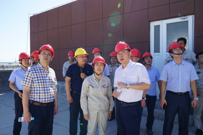 集團權屬企業
