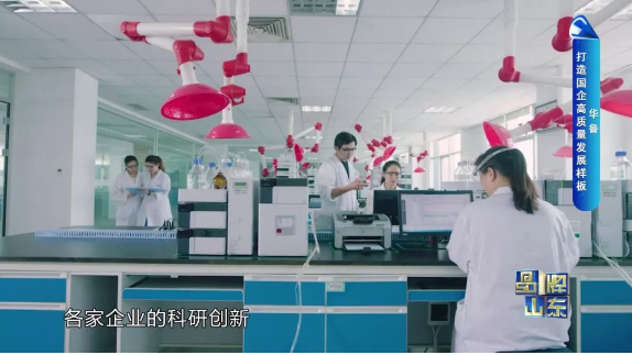 品牌山東