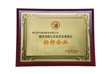 祝賀我司獲得市私營(yíng)企業(yè)協(xié)會(huì)頒發(fā)“標(biāo)桿企業(yè)”榮譽(yù)稱號(hào)