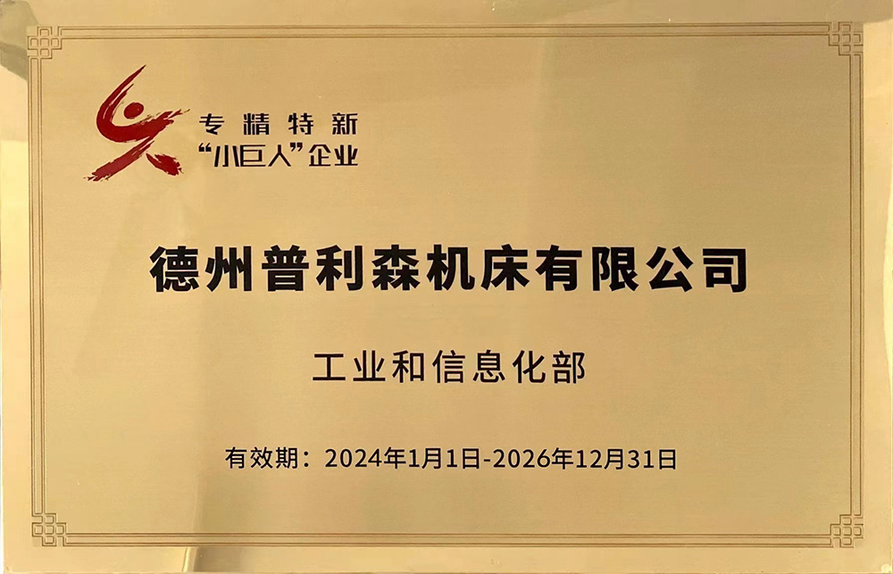 2024年專精特新“小巨人”企業(yè)（2024年-2026年）
