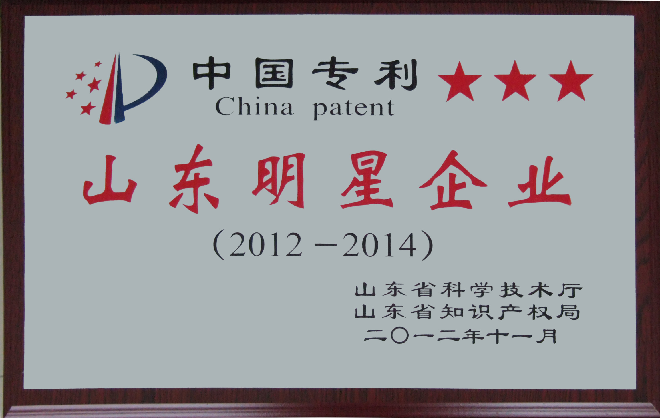 2012年中國專利山東明星企業（2012-2014）
