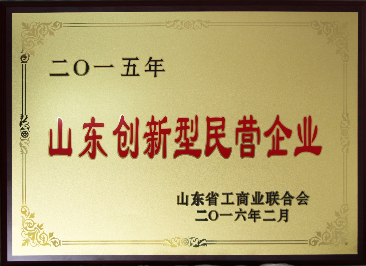 2015年山東創(chuàng)新型民營(yíng)企業(yè) 2015年山東創(chuàng)新型民營(yíng)企業(yè)