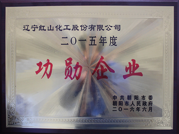 2016年度功勛企業