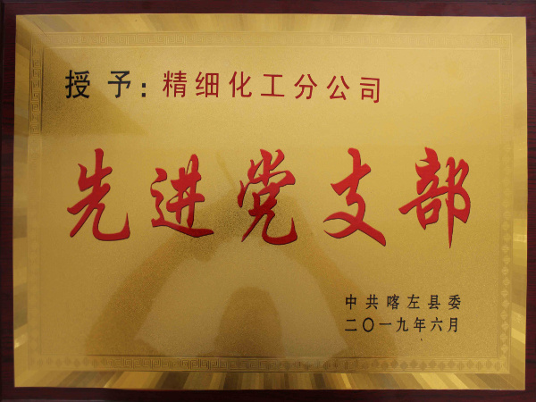 先進黨支部