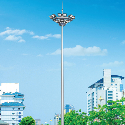 LDGG-0006