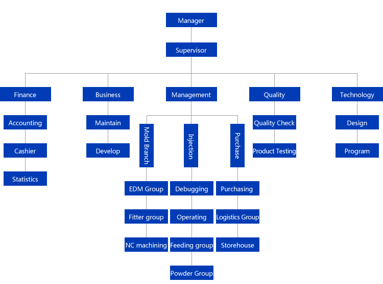 organization