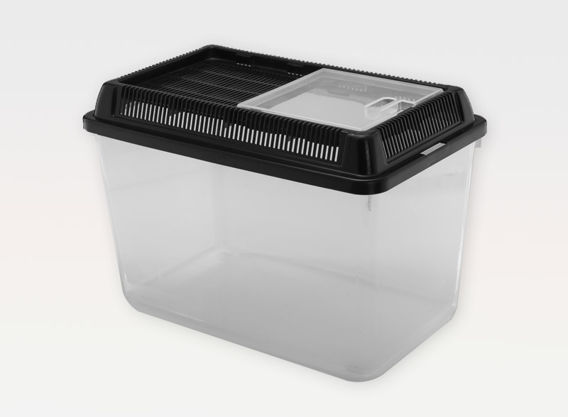 Feeding Box