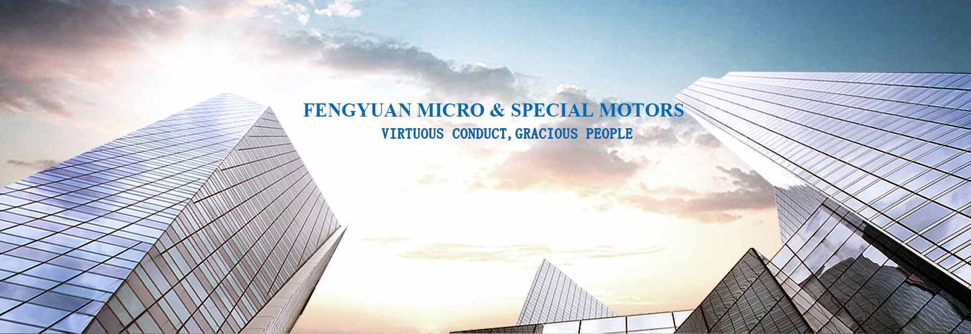 Changzhou Fengyuan Micro & Special Moter Co., Ltd.